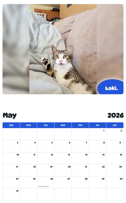 2026 - 2027 Loki. - Pawidols Pet Calendar