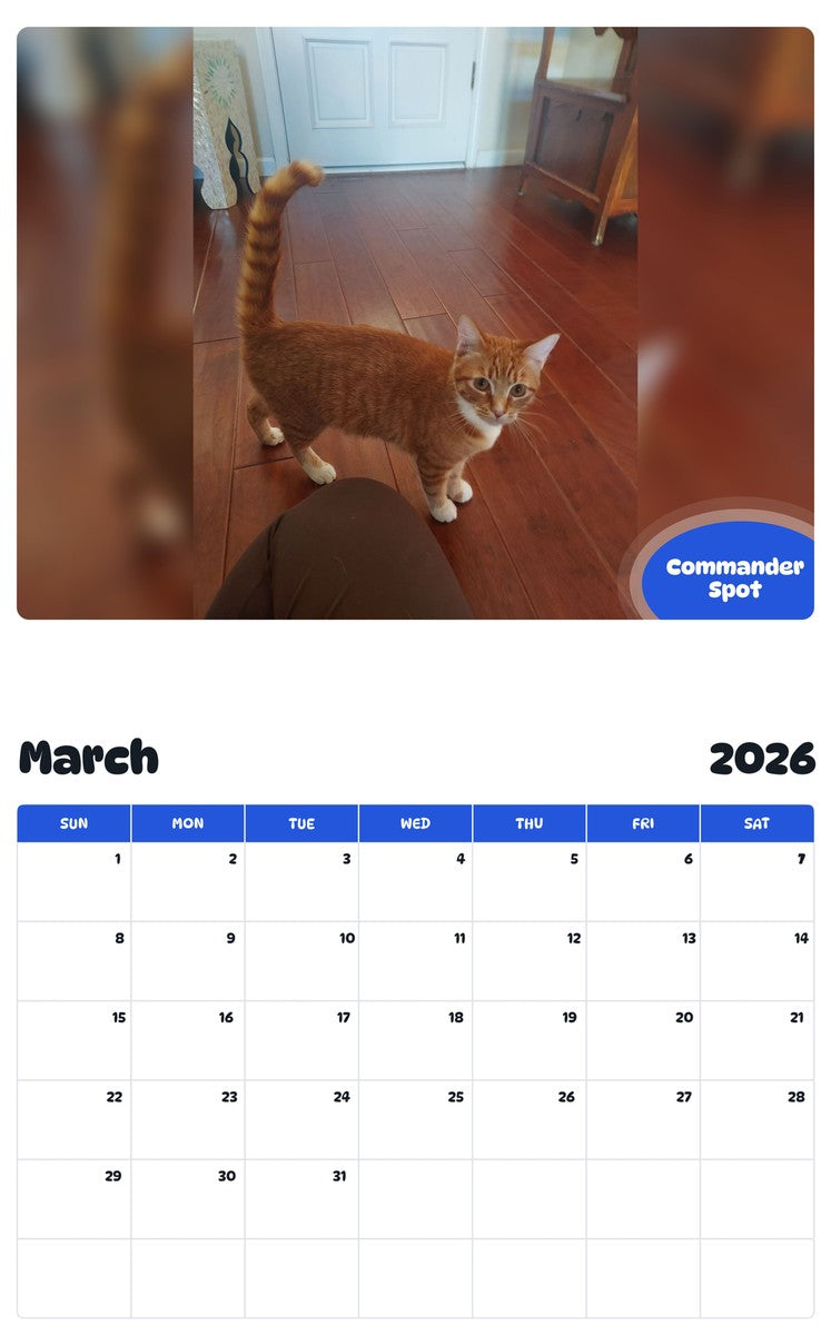 November 2025 - October 2026 Commander Spot - Pawidols Pet Calendar