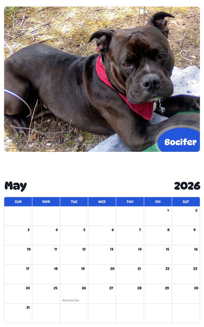 2026 - 2027 Bocifer - Pawidols Pet Calendar