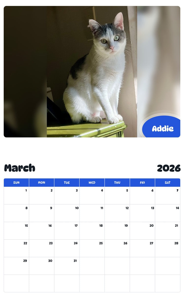 November 2025 - October 2026 Addie - Pawidols Pet Calendar