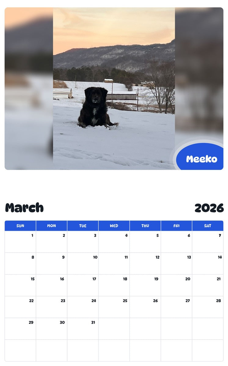 November 2025 - October 2026 Meeko - Pawidols Pet Calendar