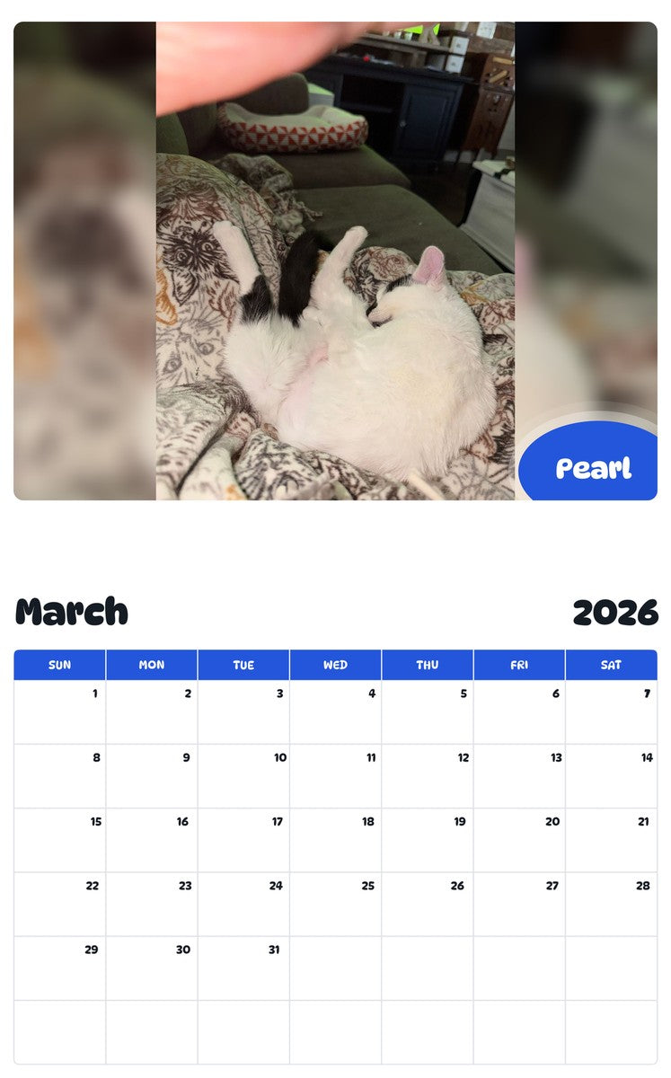 November 2025 - October 2026 Pearl - Pawidols Pet Calendar