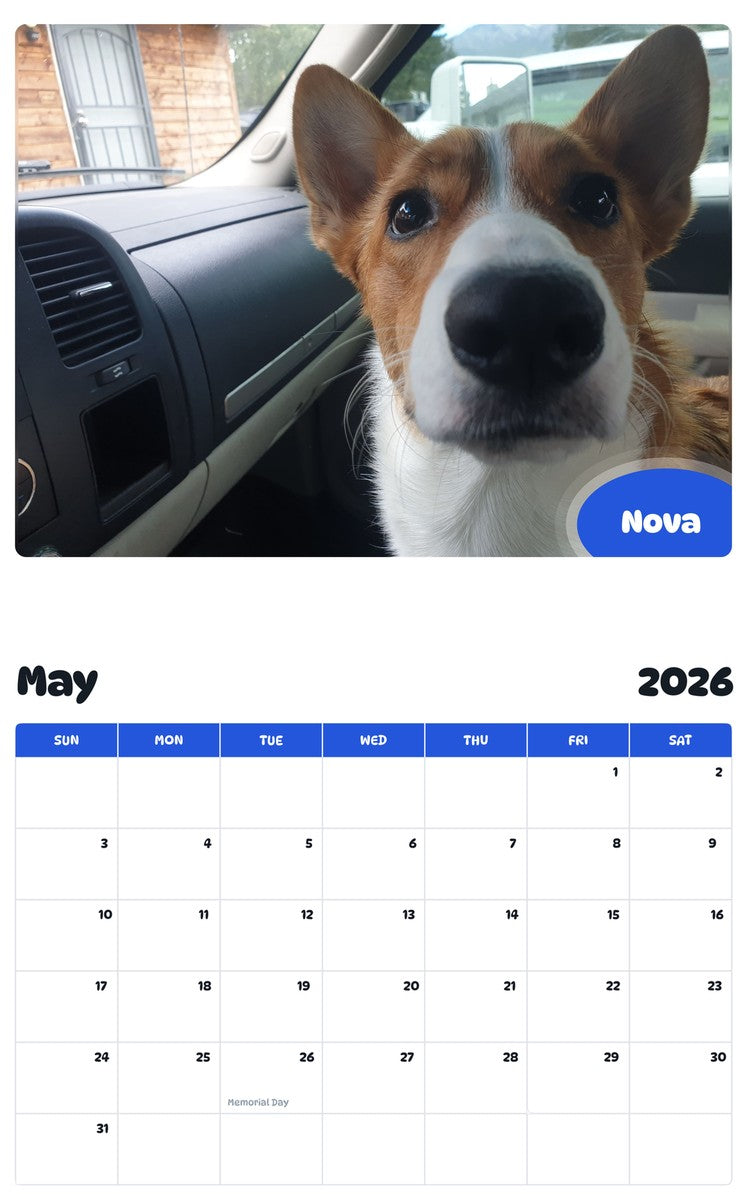 2026 - 2027 Nova - Pawidols Pet Calendar
