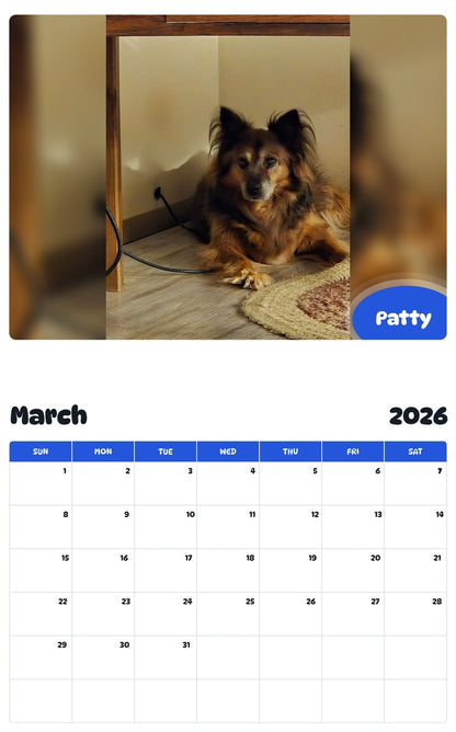 November 2025 - October 2026 Patty - Pawidols Pet Calendar