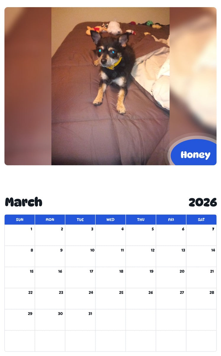 November 2025 - October 2026 Honey - Pawidols Pet Calendar