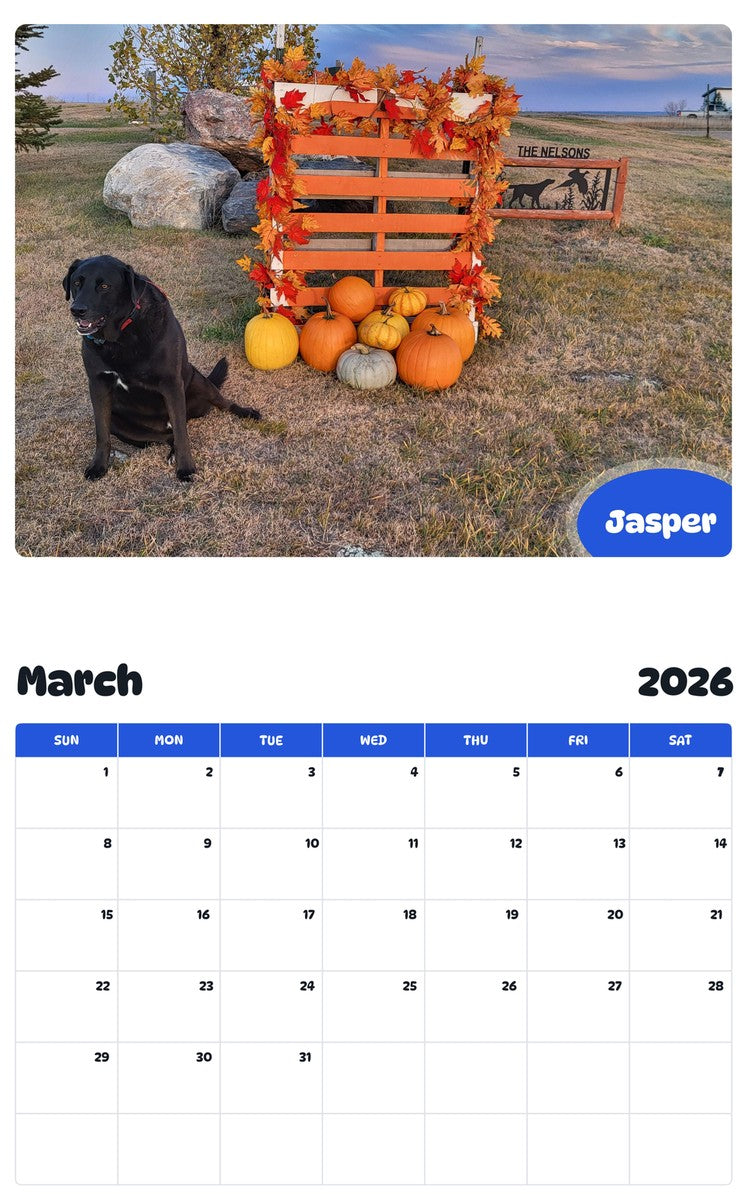 November 2025 - October 2026 Jasper - Pawidols Pet Calendar