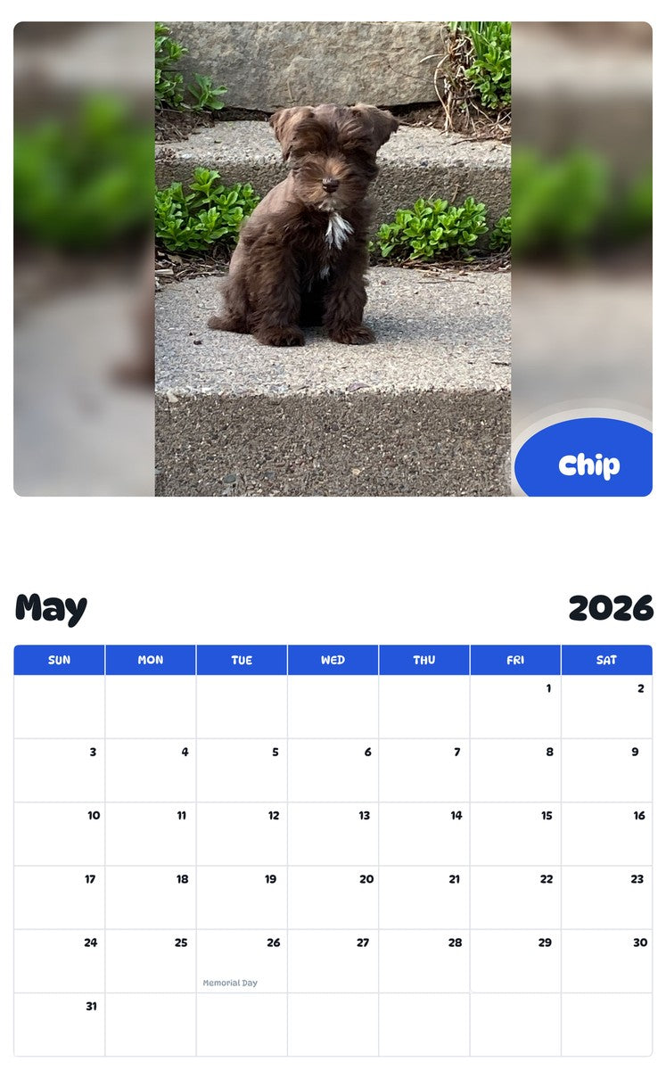 2026 - 2027 Chip - Pawidols Pet Calendar