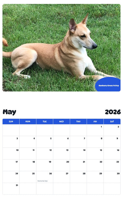 2026 - 2027 Banbury Cross Petey - Pawidols Pet Calendar