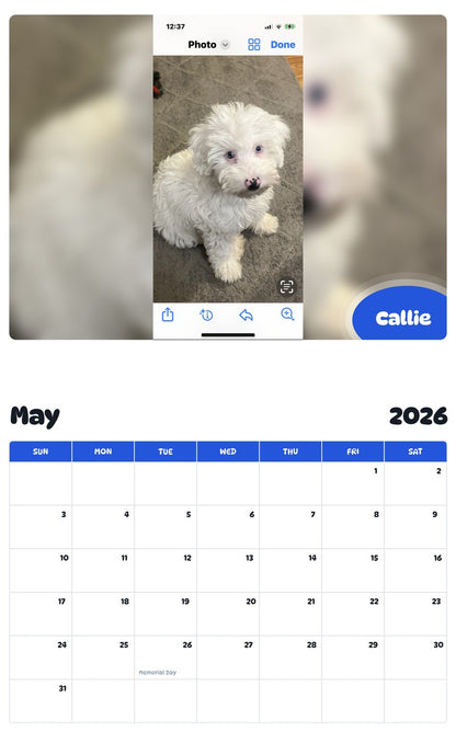 2026 - 2027 Callie - Pawidols Pet Calendar
