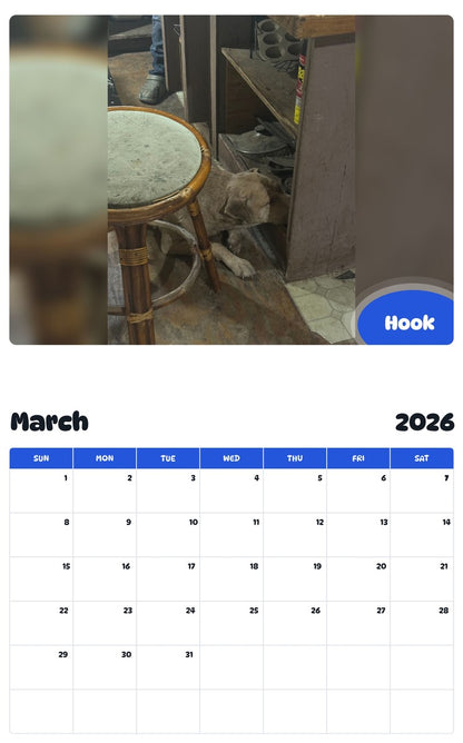 November 2025 - October 2026 Hook - Pawidols Pet Calendar