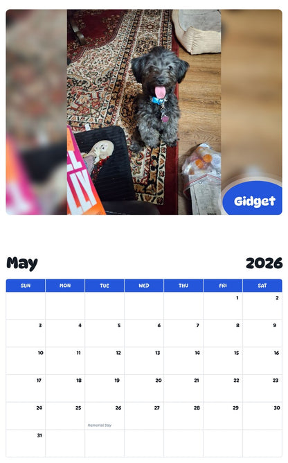 2026 - 2027 Gidget - Pawidols Pet Calendar