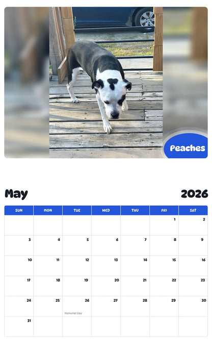 2026 - 2027 Peaches - Pawidols Pet Calendar
