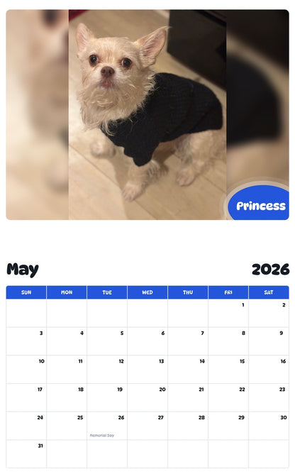 2026 - 2027 Princess - Pawidols Pet Calendar