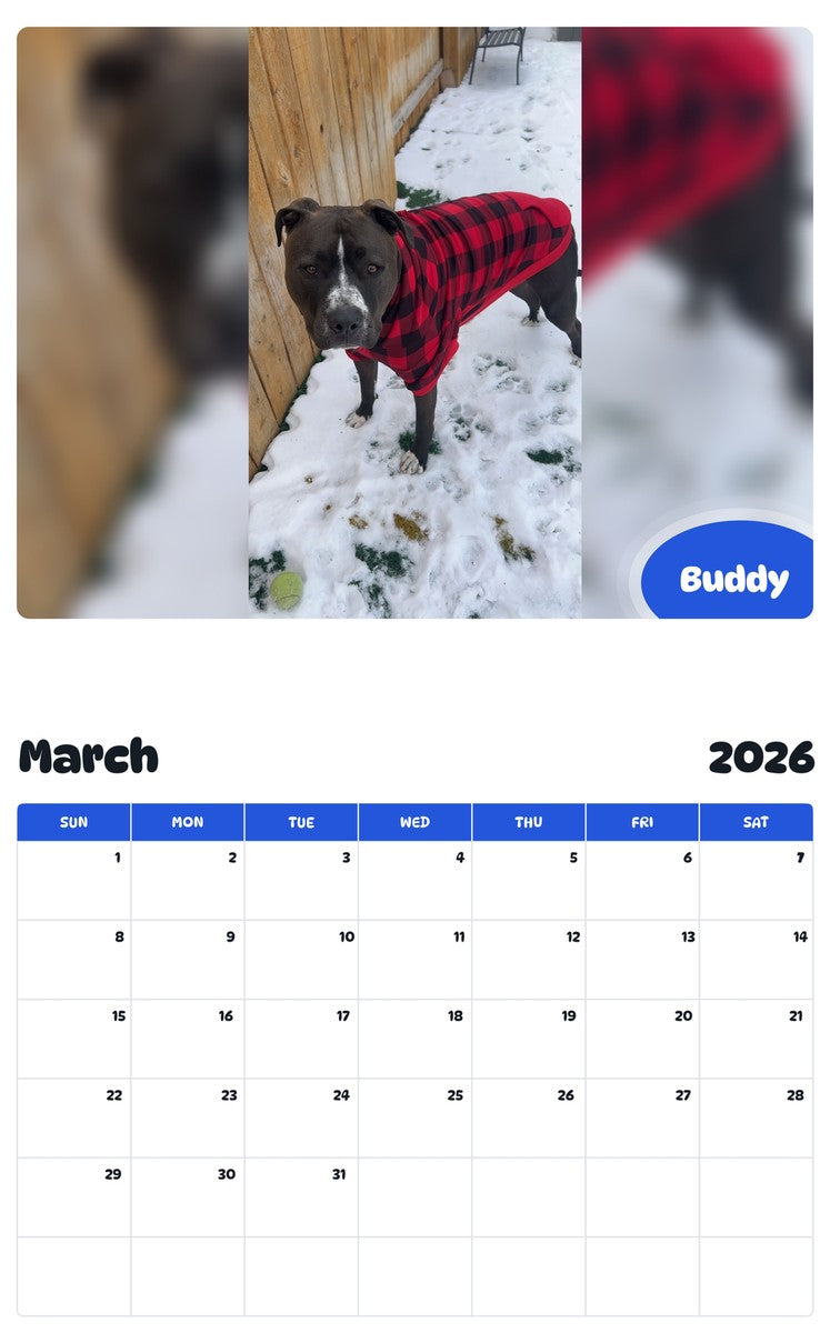 November 2025 - October 2026 Buddy - Pawidols Pet Calendar