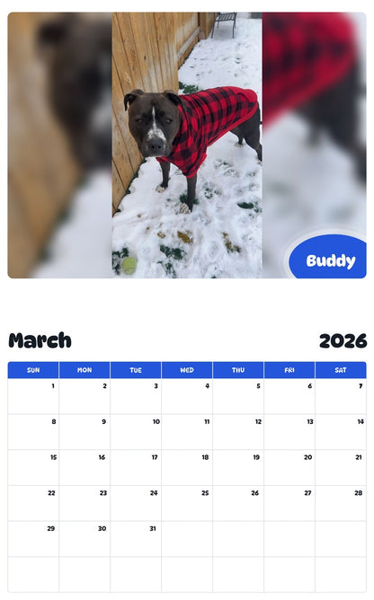 November 2025 - October 2026 Buddy - Pawidols Pet Calendar