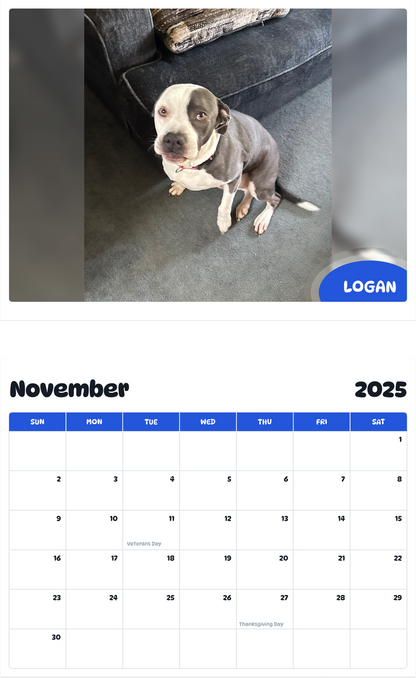 July 2025 - June 2026 Logan - Pawidols Pet Calendar
