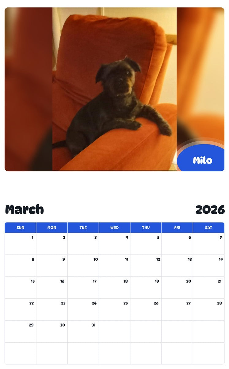 November 2025 - October 2026 Milo - Pawidols Pet Calendar