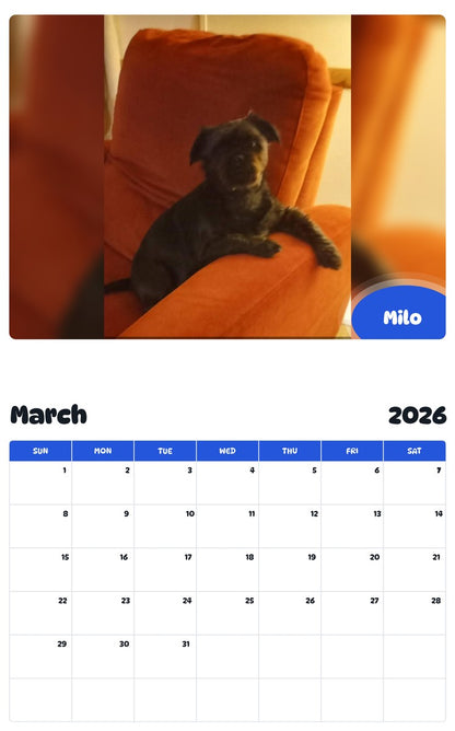 November 2025 - October 2026 Milo - Pawidols Pet Calendar