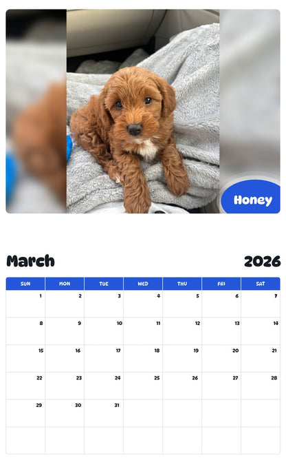 November 2025 - October 2026 Honey - Pawidols Pet Calendar