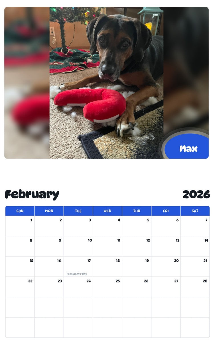 November 2025 - October 2026 Max - Pawidols Pet Calendar