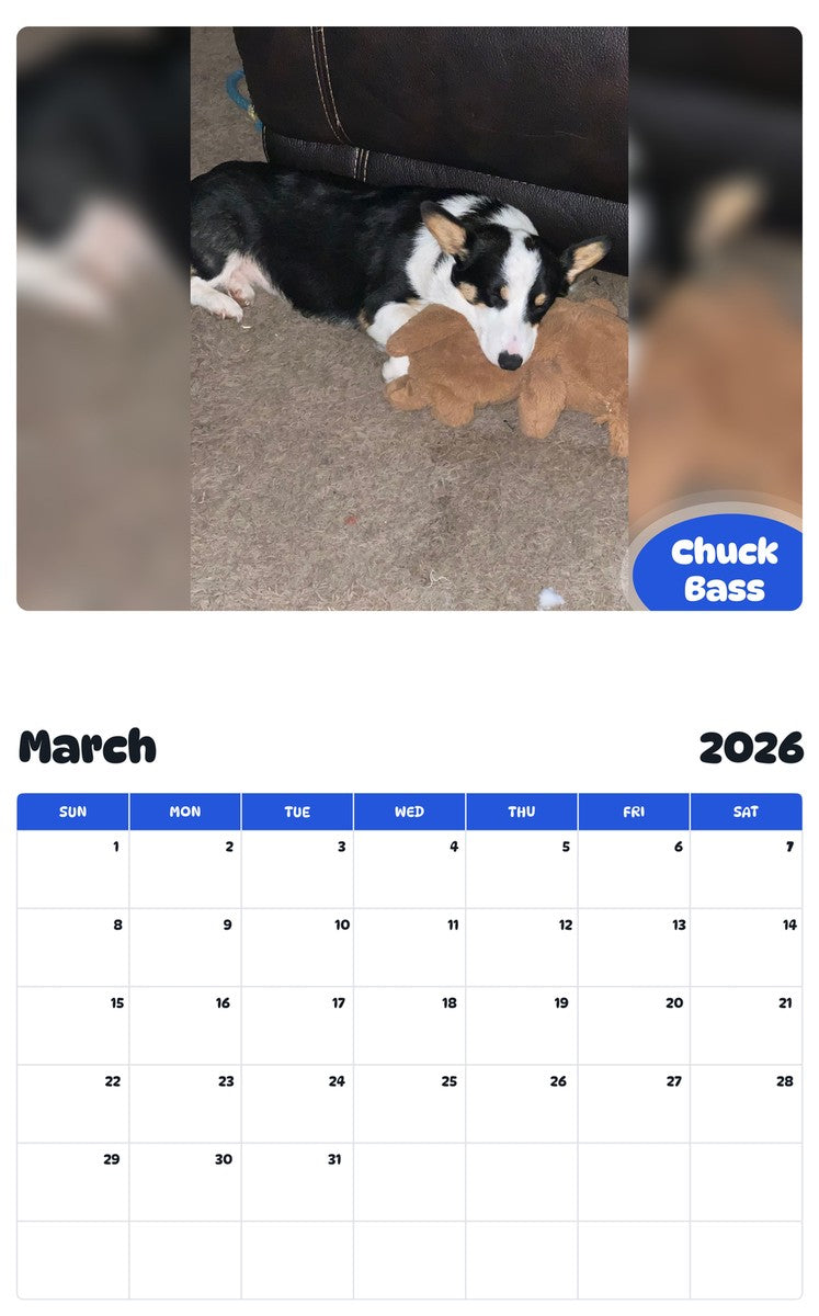 November 2025 - October 2026 Chuck Bass - Pawidols Pet Calendar