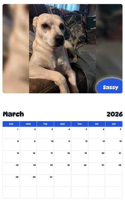 November 2025 - October 2026 Sassy - Pawidols Pet Calendar