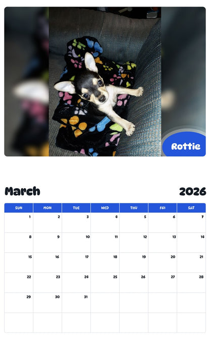 November 2025 - October 2026 Rottie - Pawidols Pet Calendar