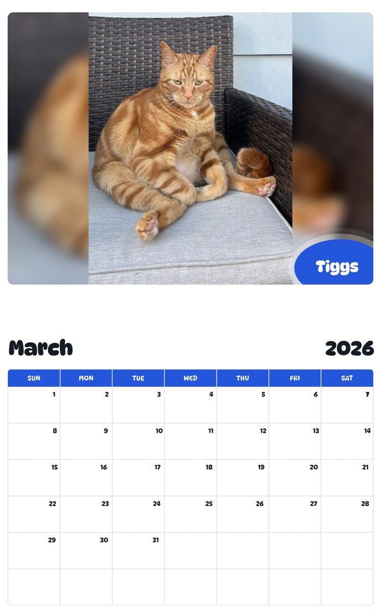 November 2025 - October 2026 Tiggs - Pawidols Pet Calendar