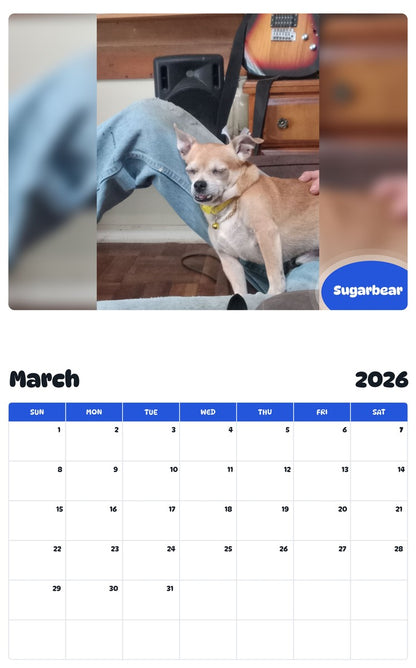 November 2025 - October 2026 Sugarbear - Pawidols Pet Calendar