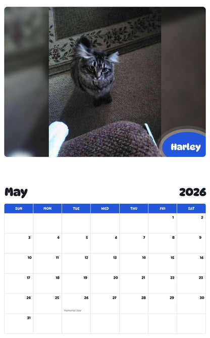 2026 - 2027 Harley - Pawidols Pet Calendar