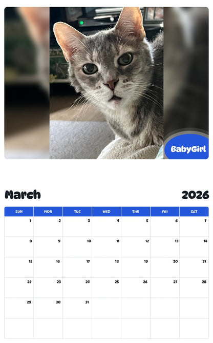 November 2025 - October 2026 BabyGirl - Pawidols Pet Calendar
