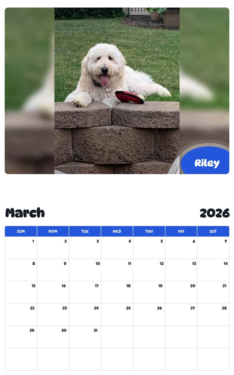November 2025 - October 2026 Riley - Pawidols Pet Calendar