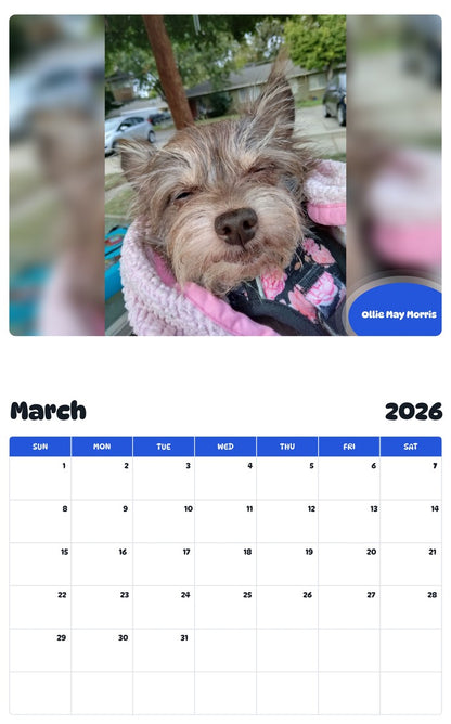 November 2025 - October 2026 Ollie May Morris - Pawidols Pet Calendar