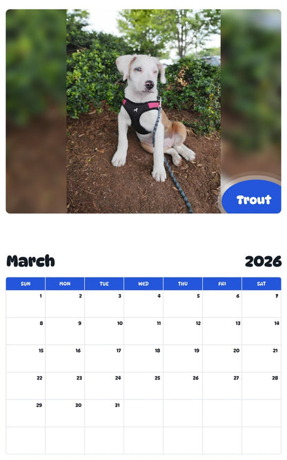 November 2025 - October 2026 Trout - Pawidols Pet Calendar