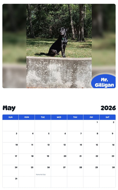 2026 - 2027 Mr. Gilligan - Pawidols Pet Calendar