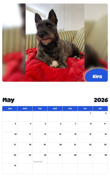 2026 - 2027 Kira - Pawidols Pet Calendar