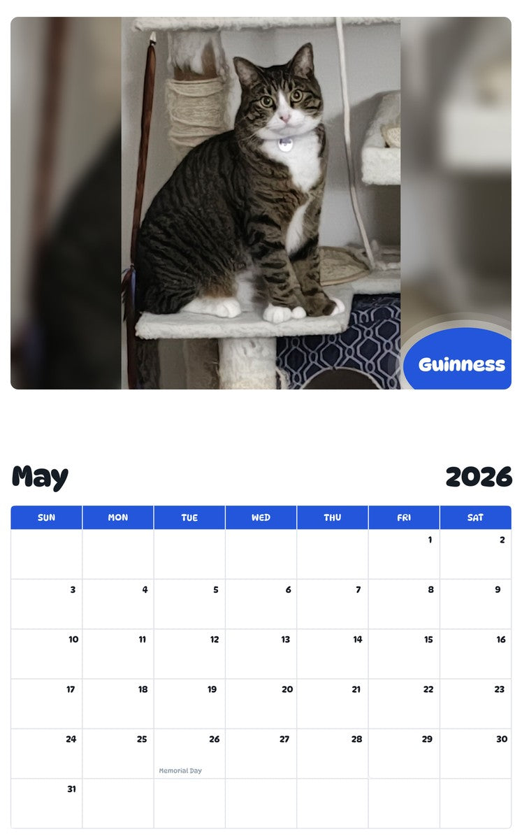 2026 - 2027 Guinness - Pawidols Pet Calendar