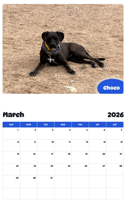November 2025 - October 2026 Choco - Pawidols Pet Calendar