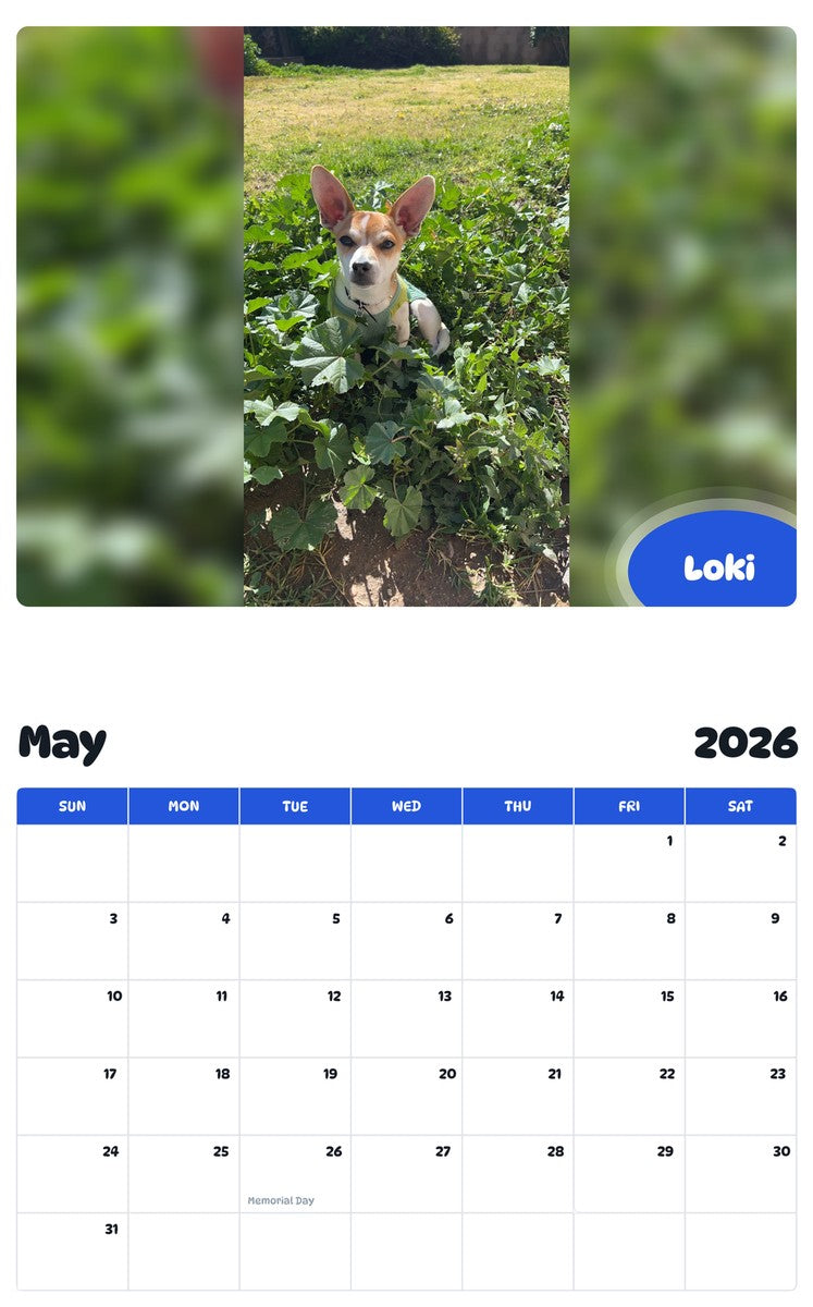 2026 - 2027 Loki - Pawidols Pet Calendar