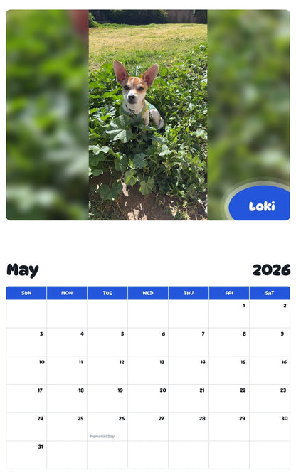 2026 - 2027 Loki - Pawidols Pet Calendar