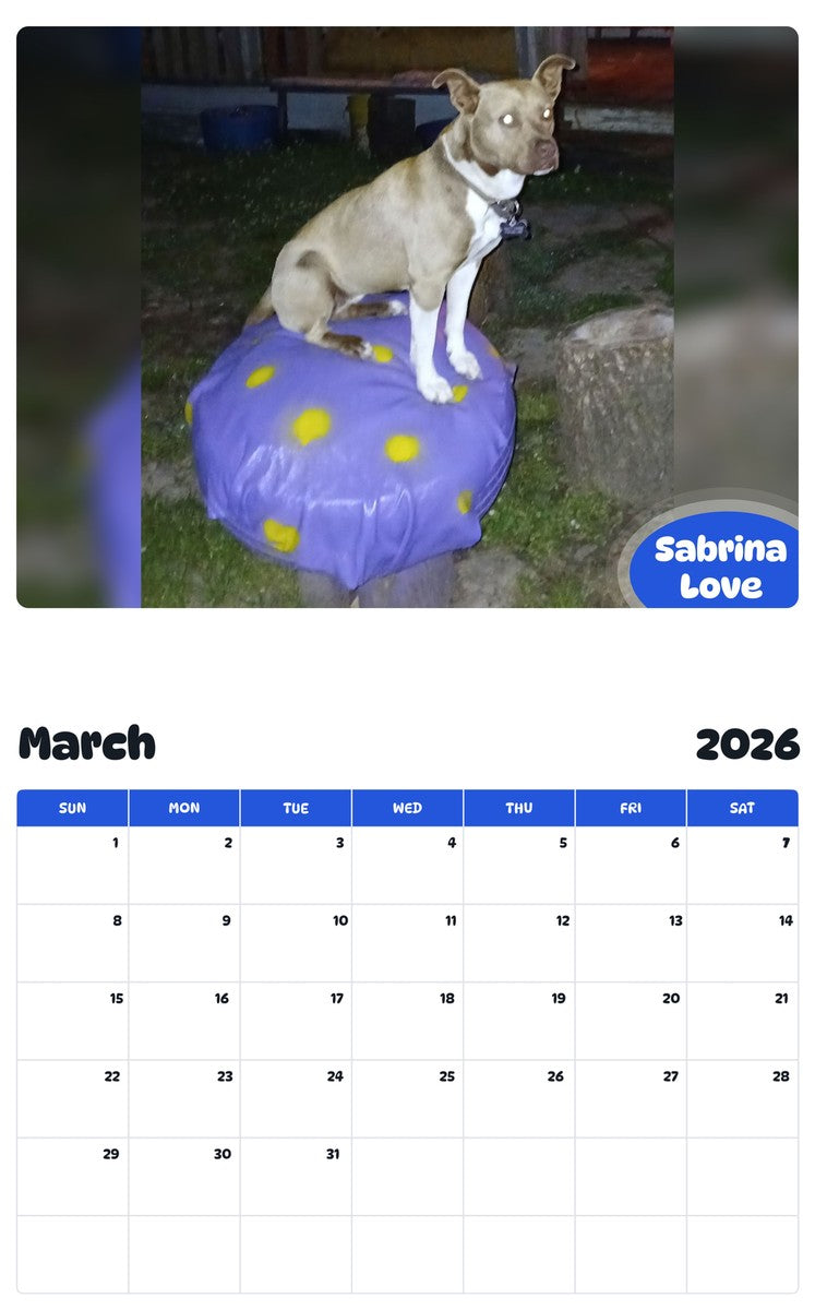 November 2025 - October 2026 Sabrina Love - Pawidols Pet Calendar