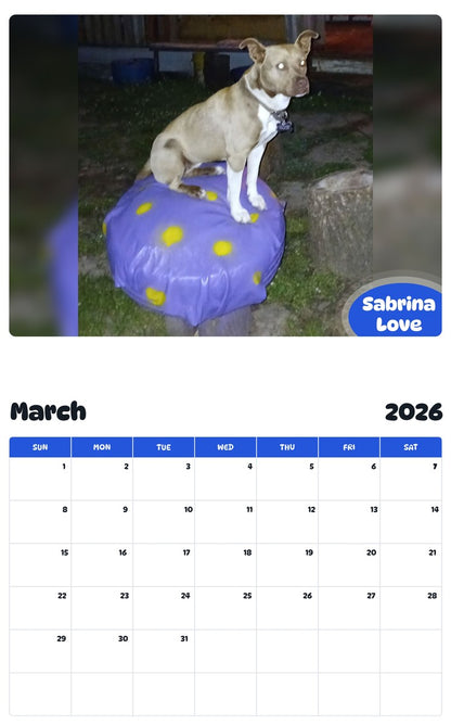 November 2025 - October 2026 Sabrina Love - Pawidols Pet Calendar