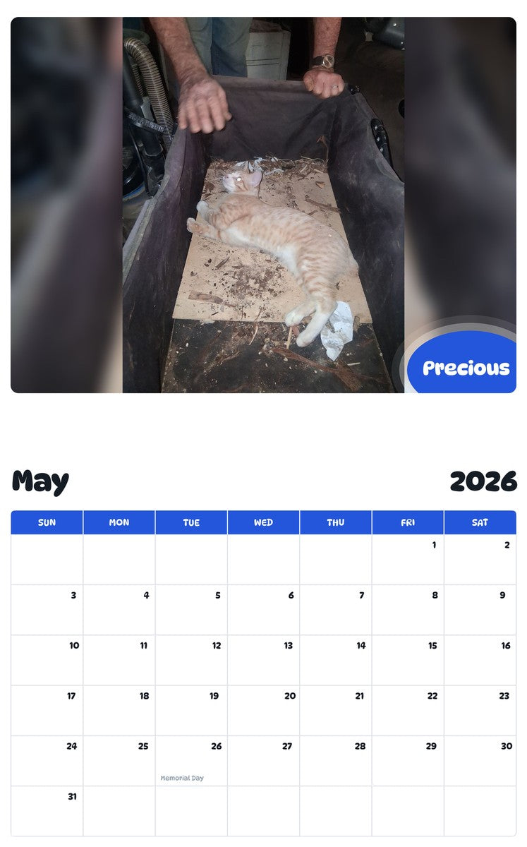 2026 - 2027 Precious - Pawidols Pet Calendar