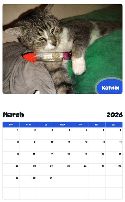 November 2025 - October 2026 Katnix - Pawidols Pet Calendar