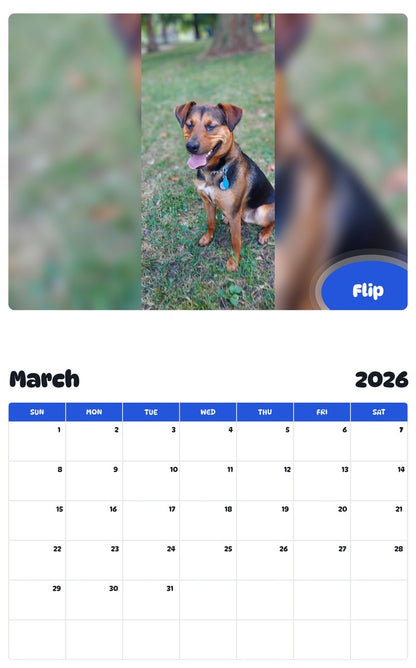 November 2025 - October 2026 Flip - Pawidols Pet Calendar