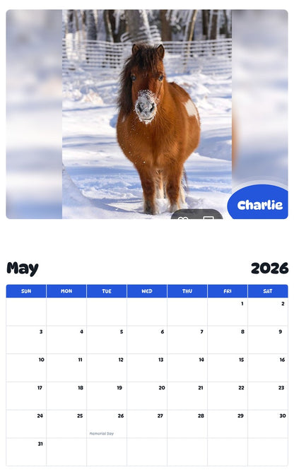2026 - 2027 Charlie - Pawidols Pet Calendar