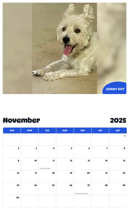 July 2025 - June 2026 Sonny Boy - Pawidols Pet Calendar