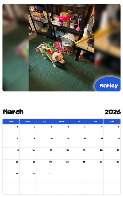 November 2025 - October 2026 Marley - Pawidols Pet Calendar