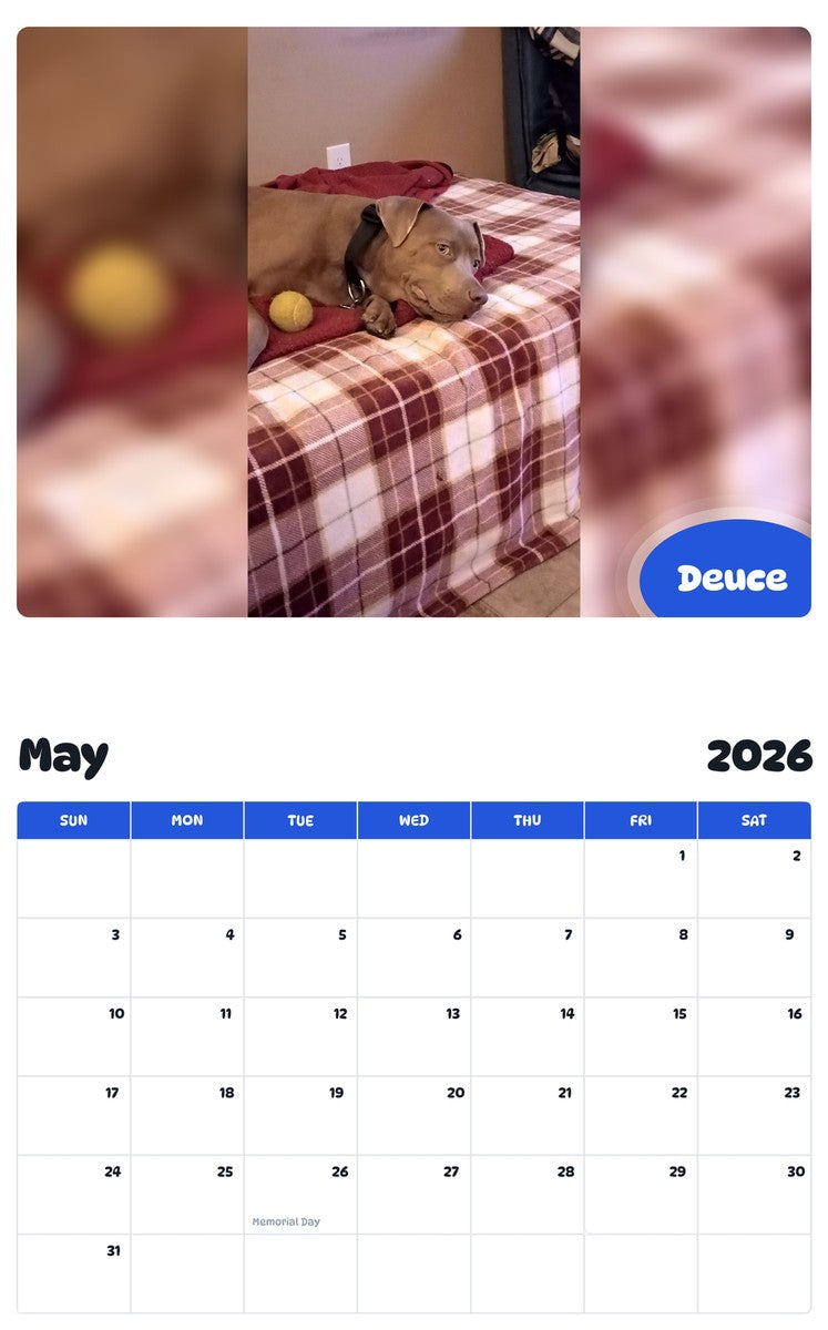 2026 - 2027 Deuce - Pawidols Pet Calendar