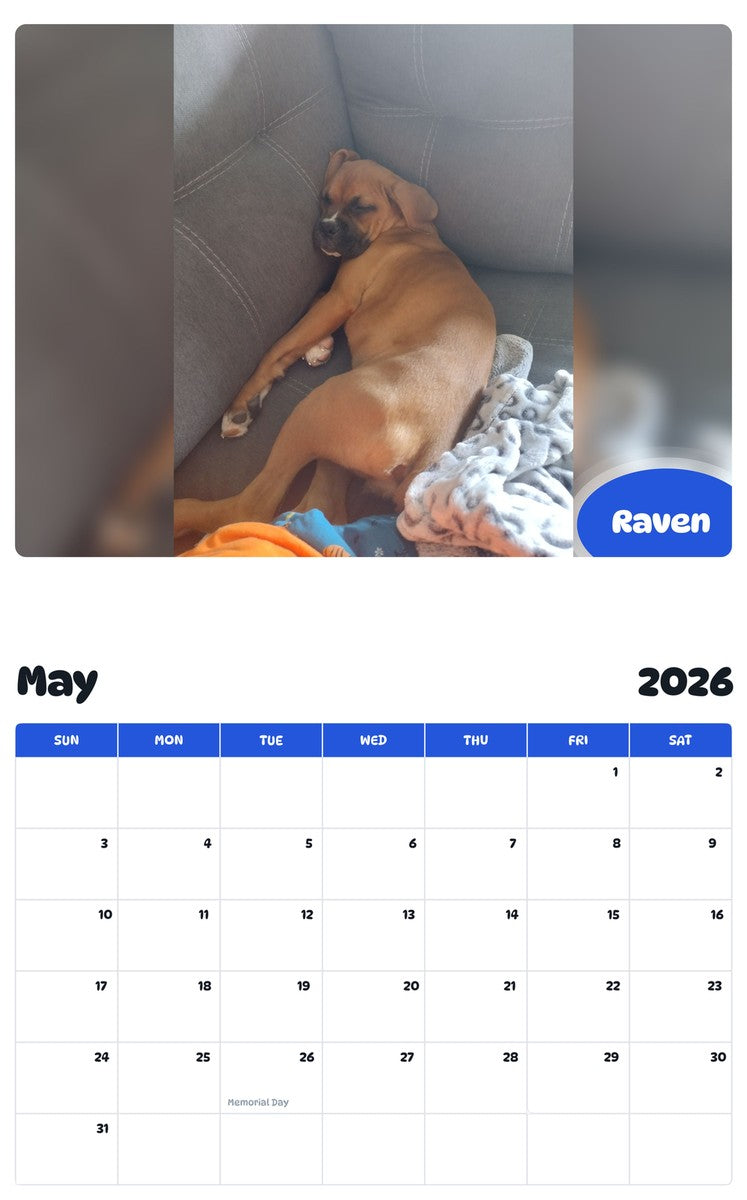 2026 - 2027 Raven - Pawidols Pet Calendar